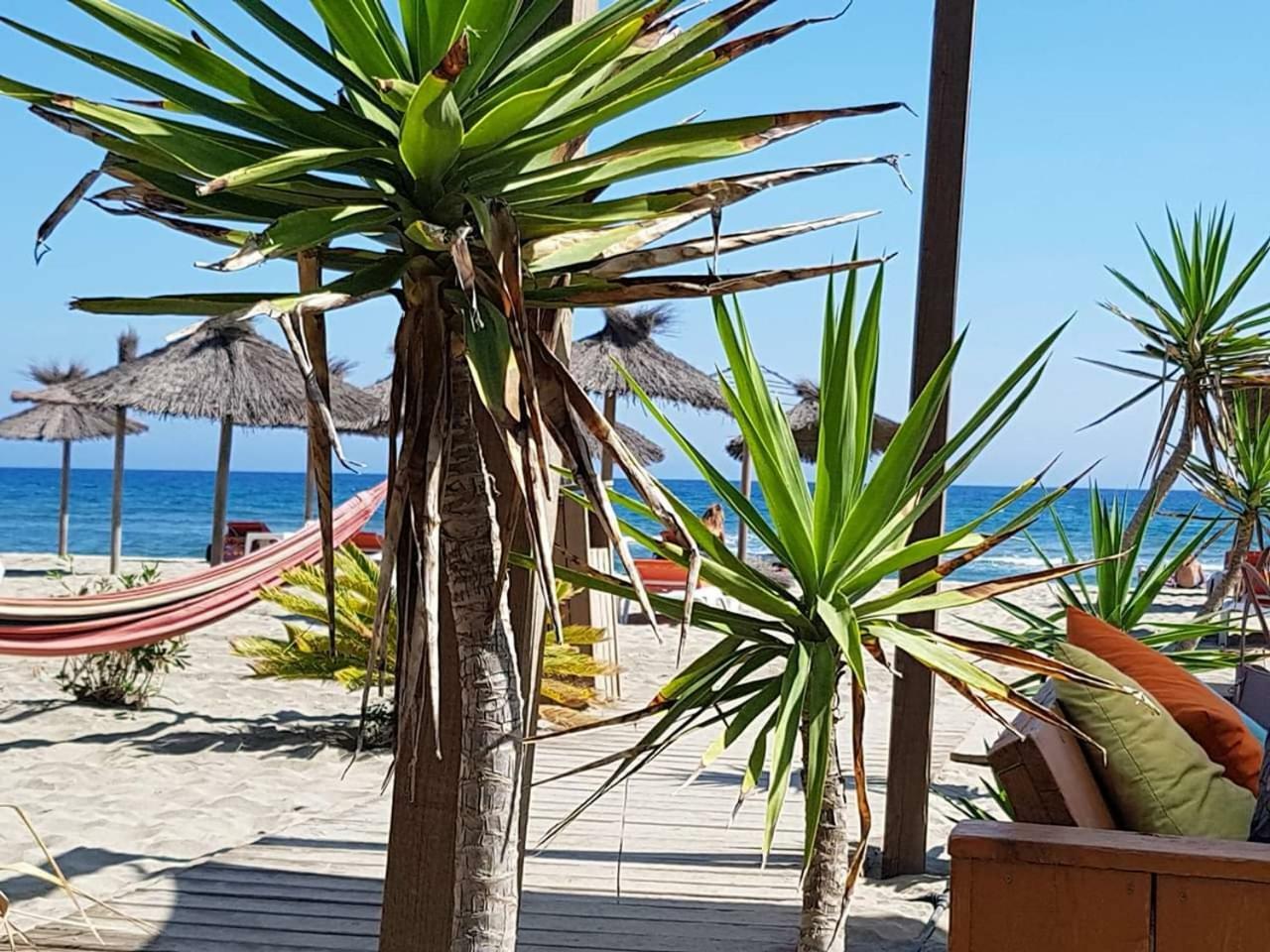 Beau Studio A 1 Minute De La Plage Canet-en-Roussillon Bagian luar foto
